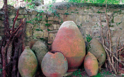 Georgia: The Birthplace of Wine