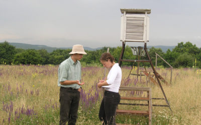 ’Tis the Season: Wine Buyer Update