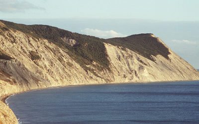 Black Sea Gold Coast