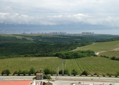 View from Chateau Pinot